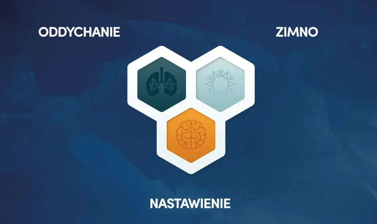 Grafika przedstawia trzy ikony: płuca, płatek śniegu i mózg, symbolizujące oddychanie metodą Wima Hofa, zimno i nastawienie.