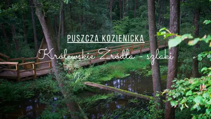 Atrakcje pod Warszawą: Jakie atrakcje są pod Warszawą i w jej okolicach?