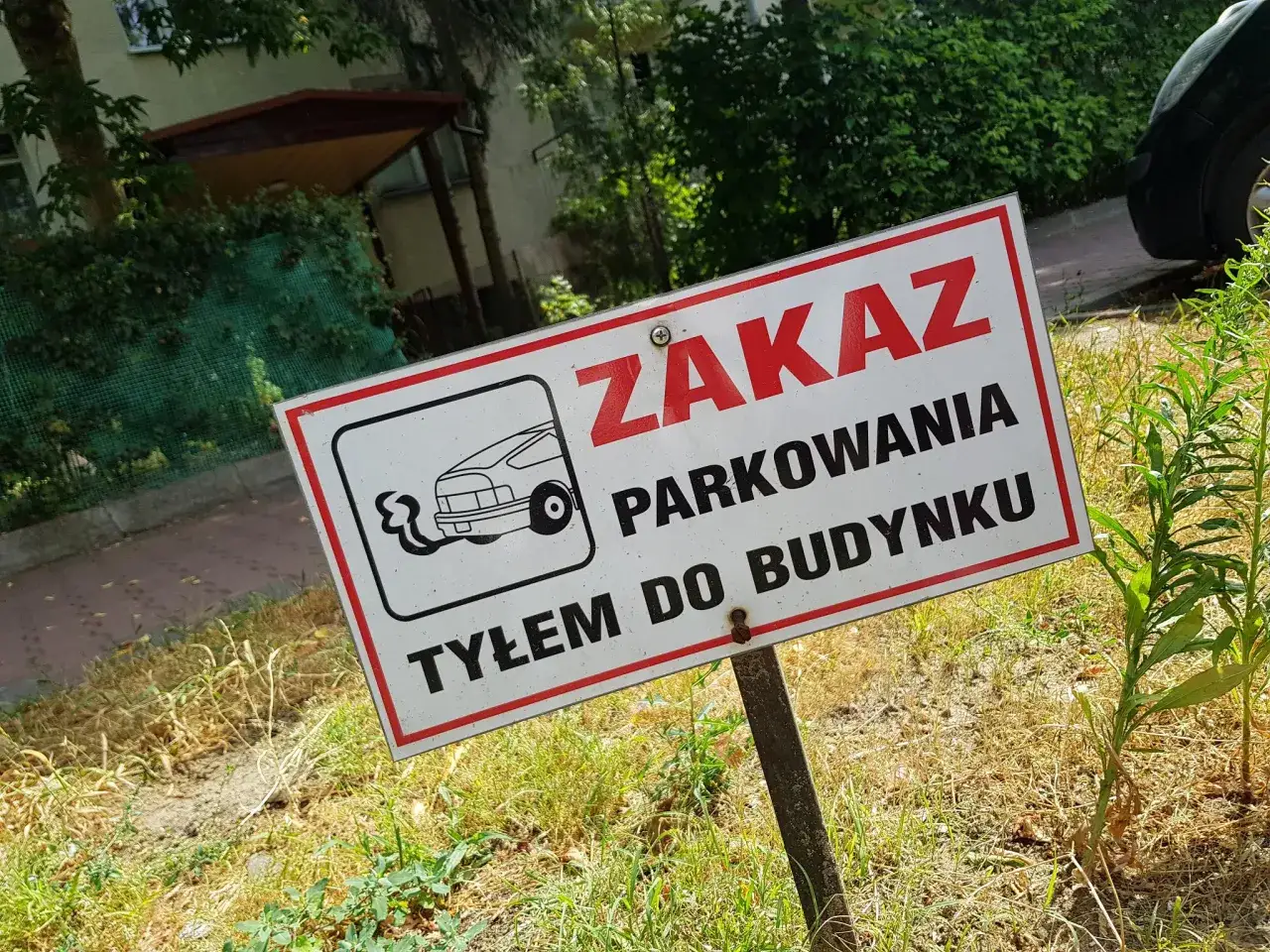 Czy można parkować tyłem do budynku? Sprawdź przepisy i kary