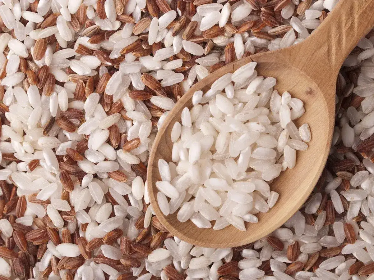 Ile kalorii ma biały ryż? Suchy vs. ugotowany i sekrety diety