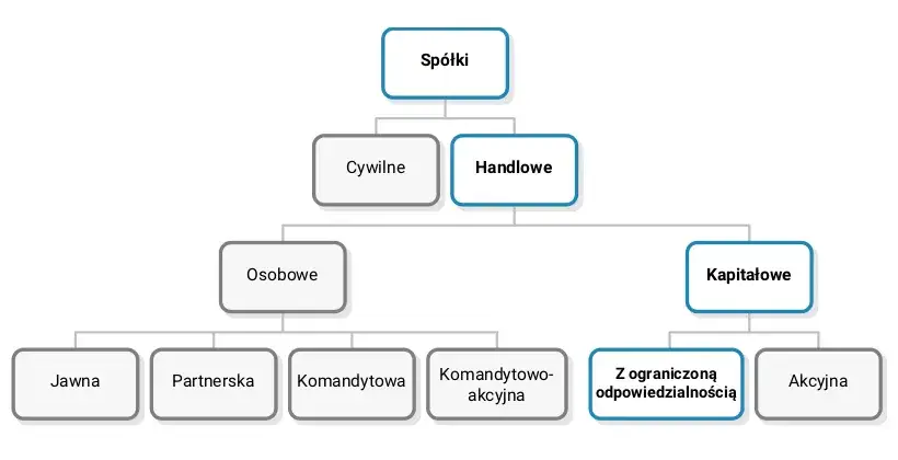 Spółka z ograniczoną odpowiedzialnością co to? Kluczowe informacje i wady