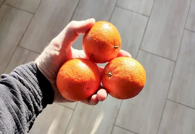 Kaloryczność mandarynki: Ile kcal kryje ten soczysty owoc?