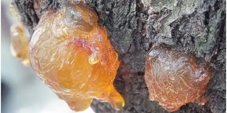 Skuteczne metody czyszczenia żywicy z różnych powierzchni