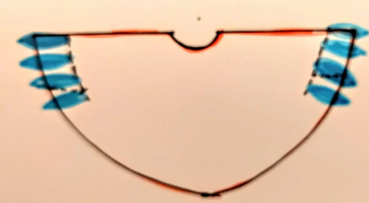 Jak zrobić strój papugi dla dziecka - proste kroki i materiały