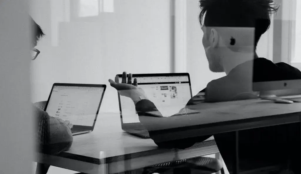 Administracja co po studiach: sprawdź, jakie masz możliwości zawodowe