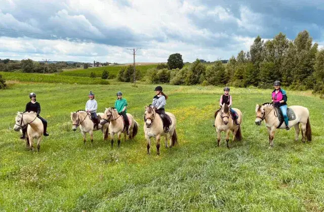 Stadnina koni Kaszuby - najlepsze miejsca na jazdę konną i atrakcje