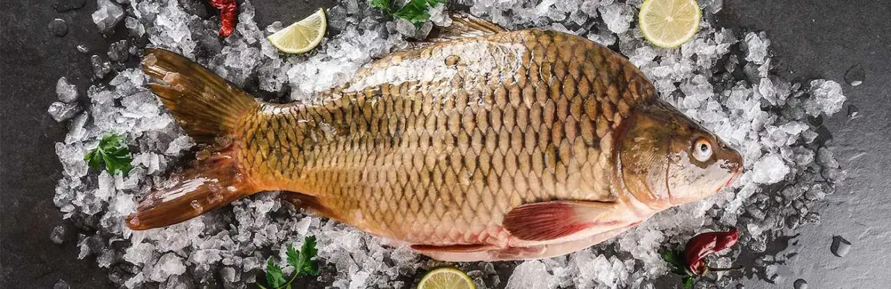 Was kostet ein kilo frischer karpfen? Preisschwankungen und Tipps