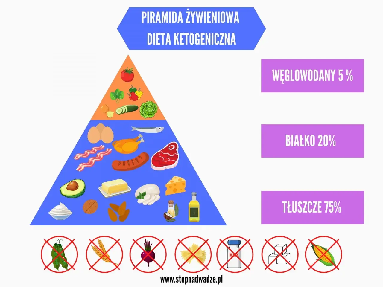 Piramida żywieniowa diety ketogenicznej: warzywa, mięso, ryby, jaja, tłuszcze. Węglowodany 5%, białko 20%, tłuszcze 75%. Dieta keto przeciwwskazania: zakazane są fasolka, zboża, buraki, makaron, cukier, kukurydza.