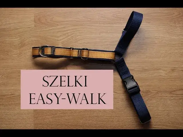 Jak zrobić szelki dla psa w prosty sposób - uniknij najczęstszych błędów
