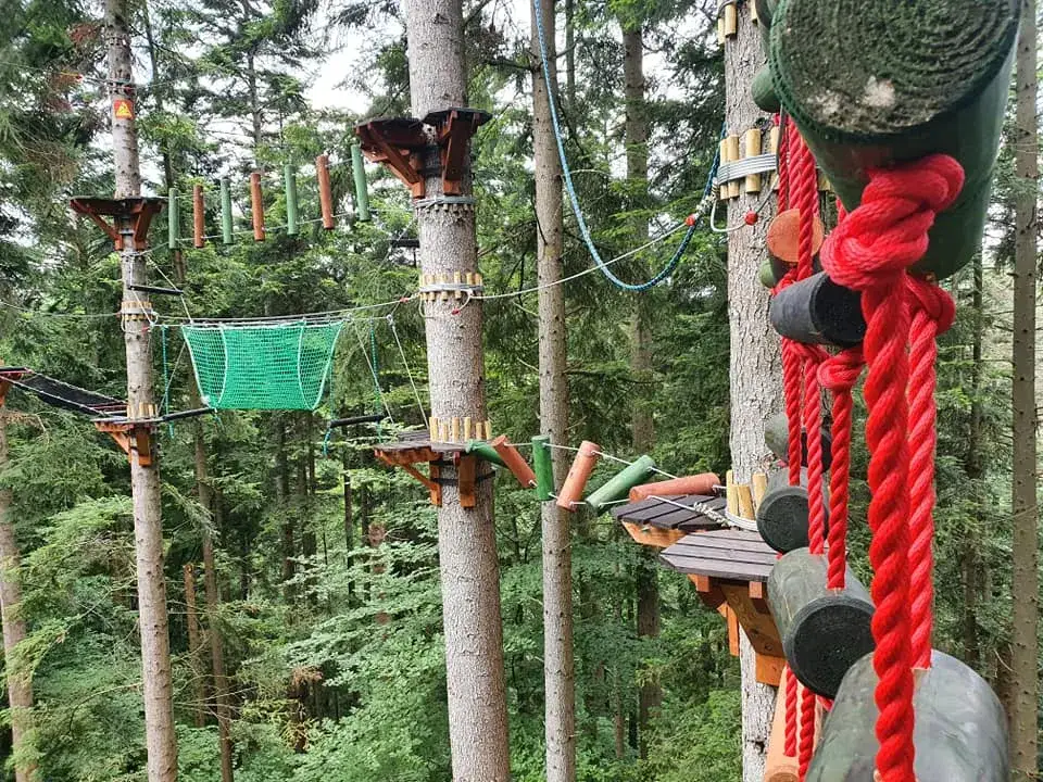 Największy park linowy w Bieszczadach - emocjonujące trasy i atrakcje