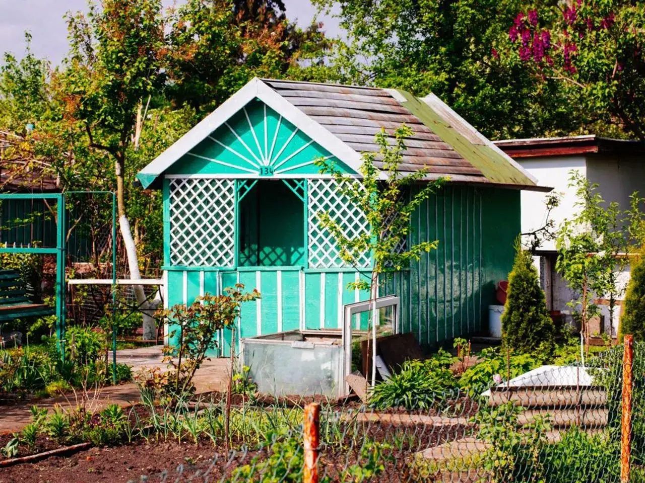 Zielona altana na działce ROD, otoczona bujną zielenią. Marzenie o tym, czy można wykupić działkę ROD na własność, w otoczeniu natury.