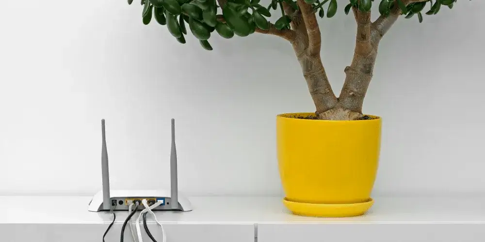 Czy można przenieść internet do innego mieszkania bez problemów?