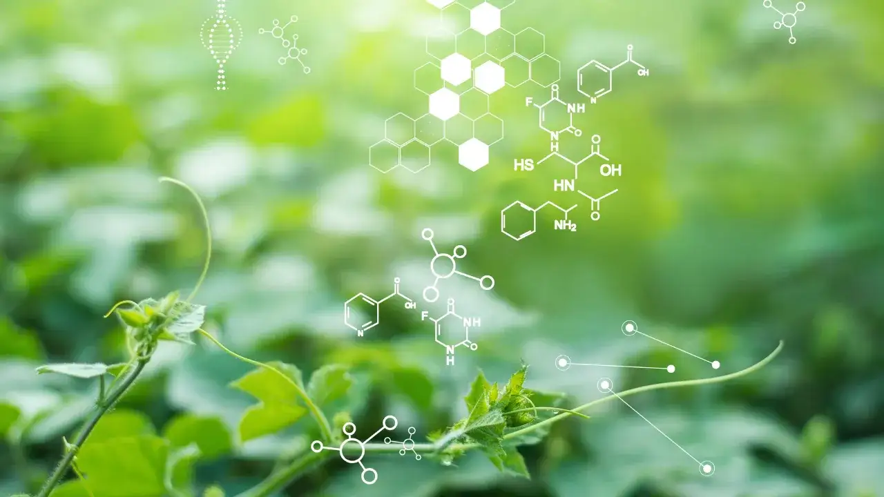 Ile kosztują korepetycje z biologii? Sprawdź ceny i oszczędź