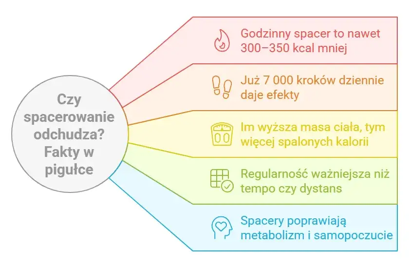 Godzinny spacer – ile kalorii spalisz i jak zwiększyć efektywność chodzenia