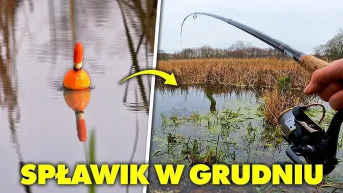 Jak łowić duże ryby na spławik - sprawdzone techniki i sprzęt
