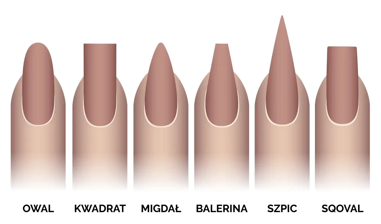 Ilustracja przedstawia sześć kształtów paznokci: owal, kwadrat, migdał, balerina, szpic i sqoval.