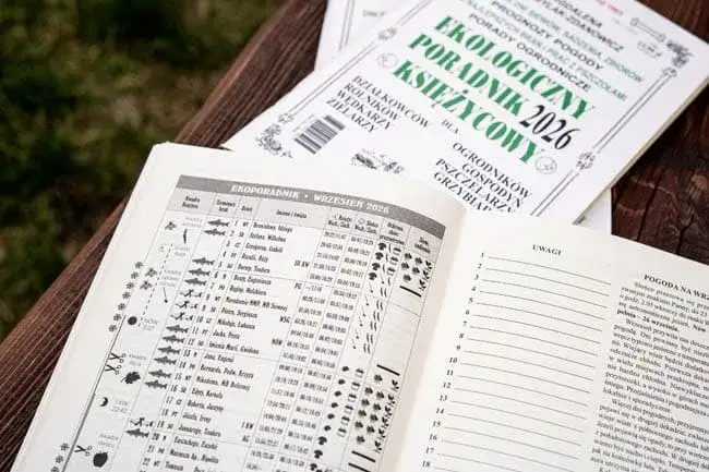 Kalendarz brań – jak przewidzieć najlepsze dni na wędkowanie