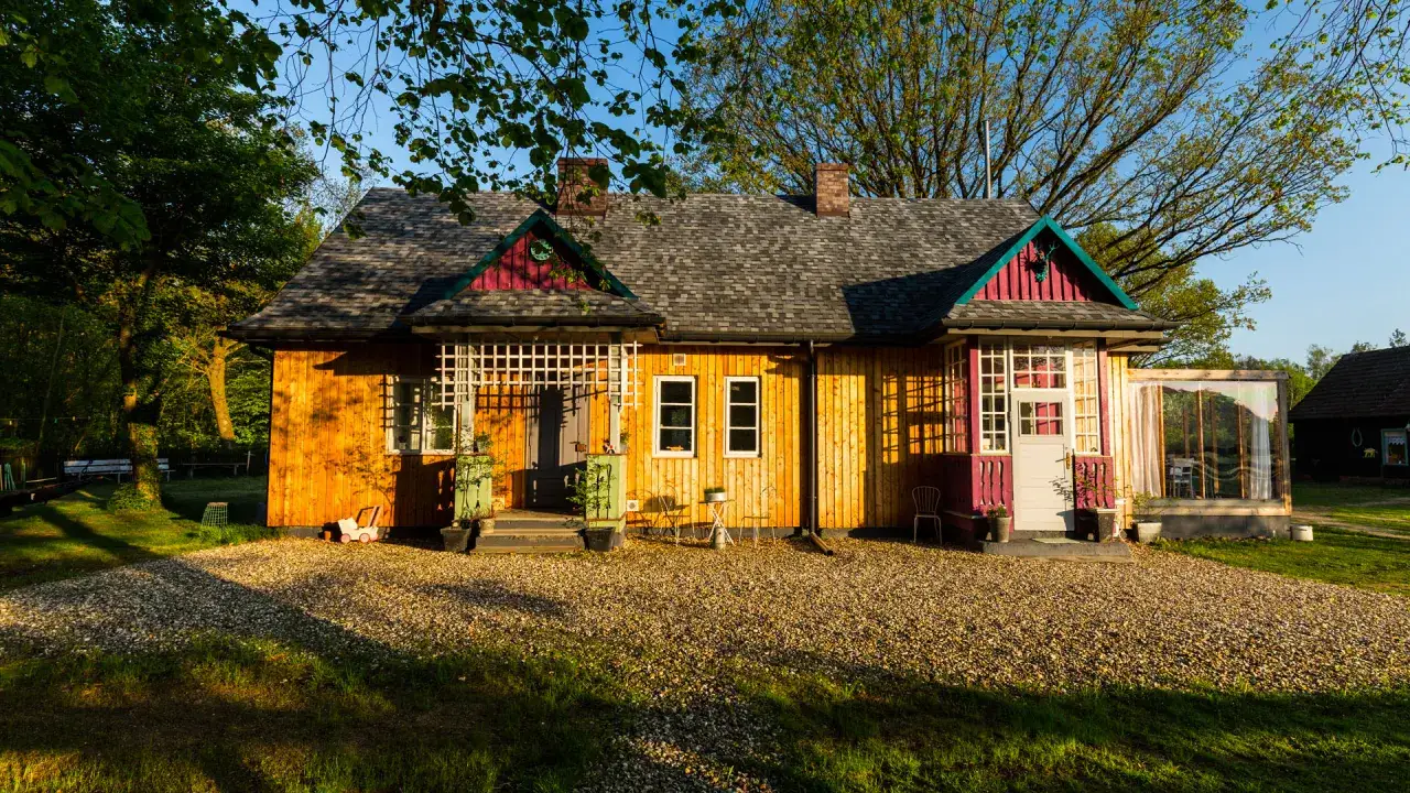 Gdzie na grzyby z noclegiem? Przewodnik po grzybowych rajach Polski