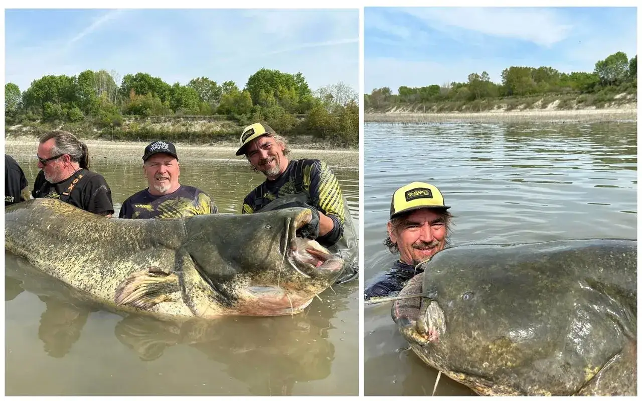 Największe przyrodzenie: Twardy rekordzista w typie gigant