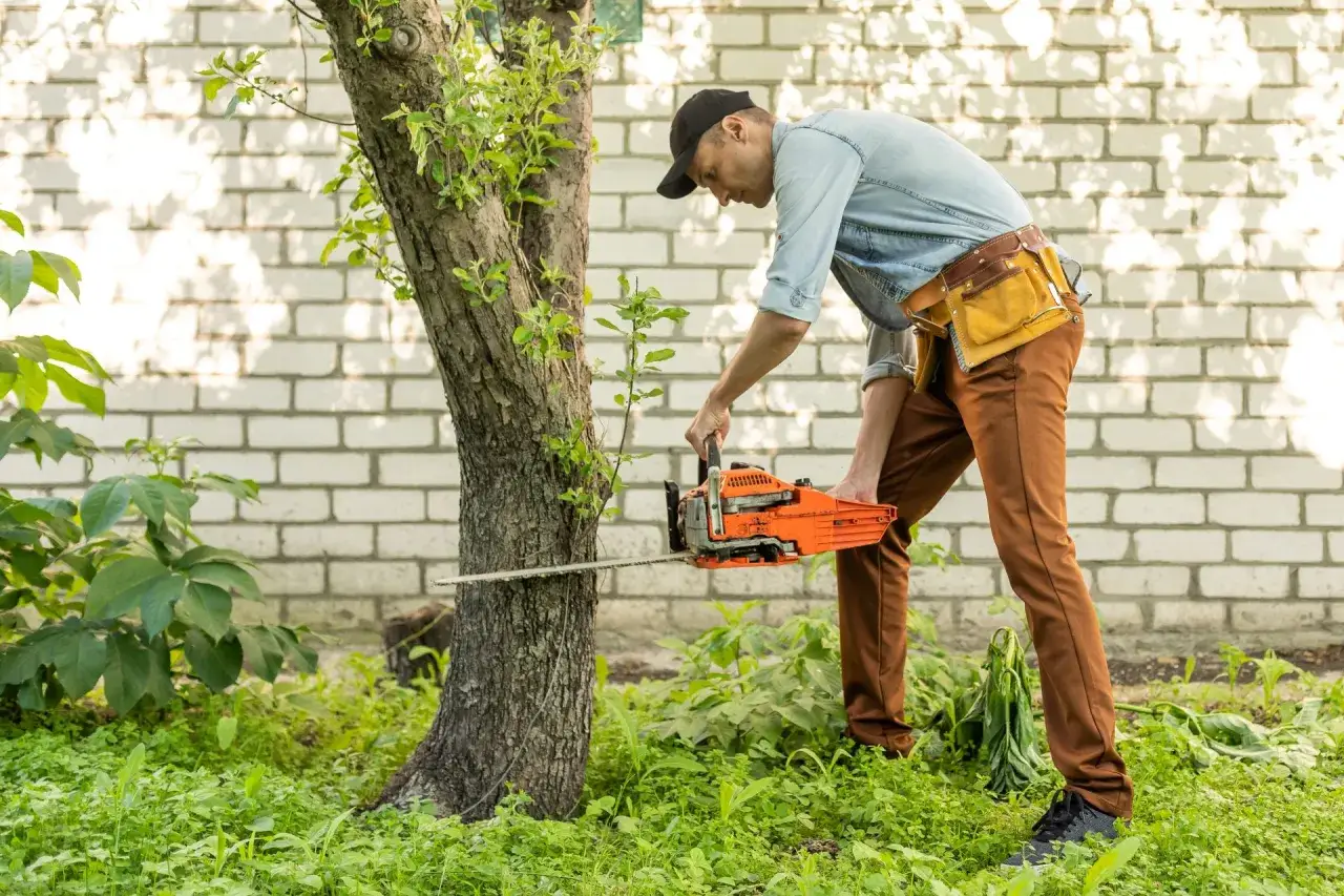 Mężczyzna w pasie narzędziowym wykonuje wycinkę drzew na działce budowlanej, przygotowując teren pod budowę.