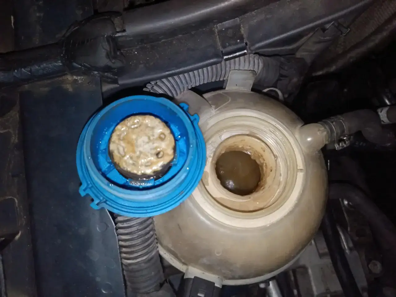 Olej w płynie chłodniczym: UPG czy chłodniczka oleju? Diagnoza i koszty