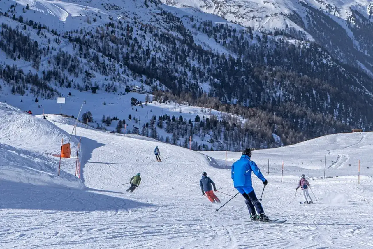 Narciarze zjeżdżający po ośnieżonym stoku górskim, zalesione zbocza w tle.
