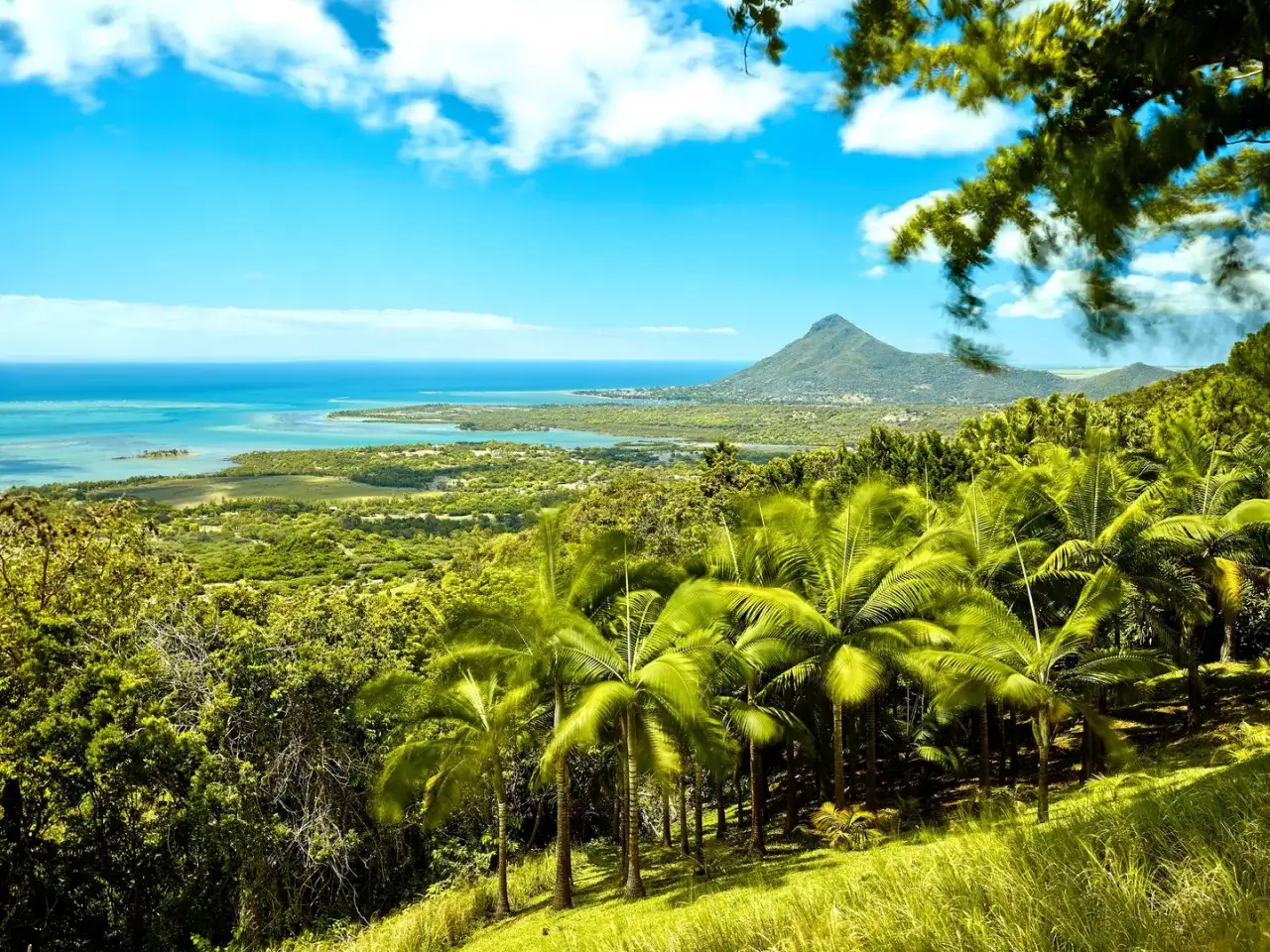 Rajski widok na Mauritius z palmami i górą Le Morne. Idealne miejsce na wakacje, sprawdź atrakcyjne ceny!