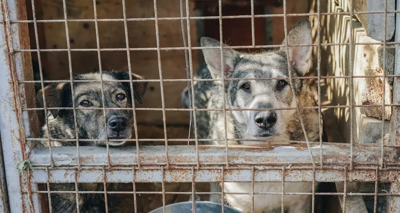 Czy schronisko może odmówić noclegu? Poznaj ważne zasady i sytuacje