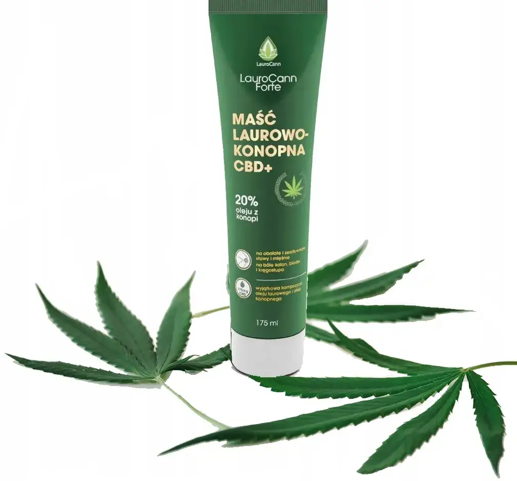 Gdzie kupić maść laurowo-konopną? Sprawdzone sklepy i ceny.