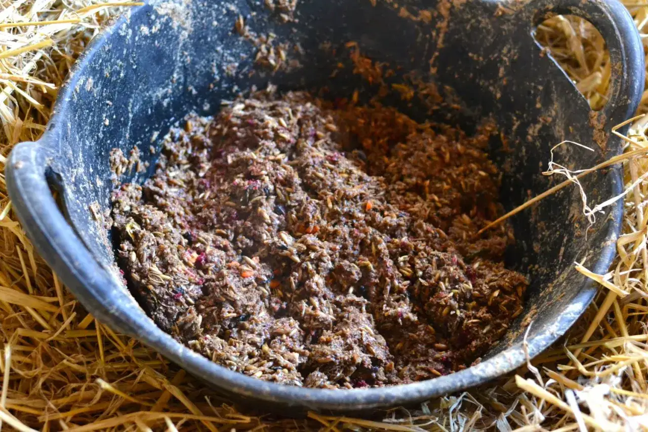 Mesz dla konia: Przepis, korzyści. Czy na pewno robisz dobrze?
