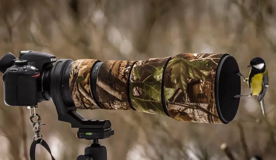 Najlepsze obiektywy do Nikon D3300, które poprawią Twoje zdjęcia