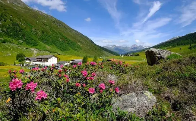 Najlepsze atrakcje w Davos, które zaskoczą każdego turystę