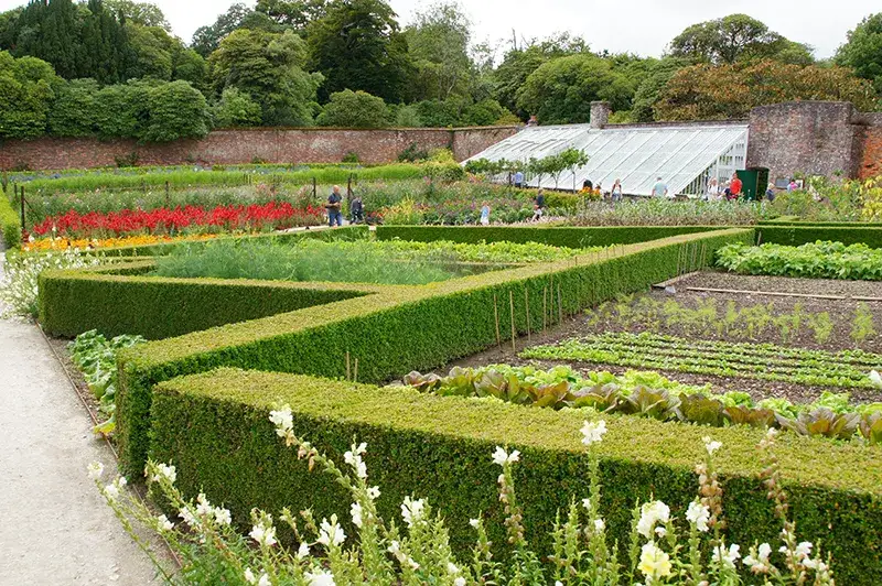 Estetyczny warzywnik: Sekrety integracji z ogrodem ozdobnym