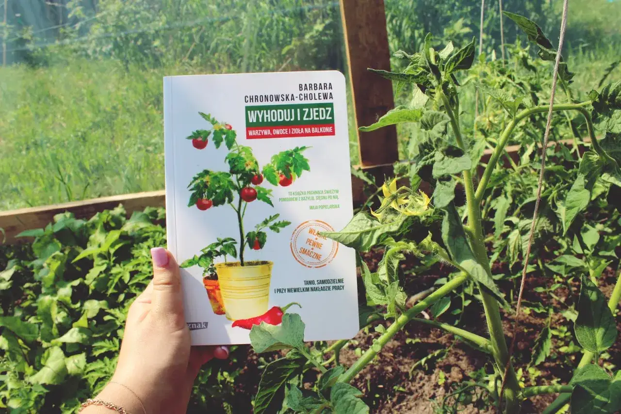 Cera trądzikowa: Jak ją pielęgnować? Poradnik Justyny Sawickiej