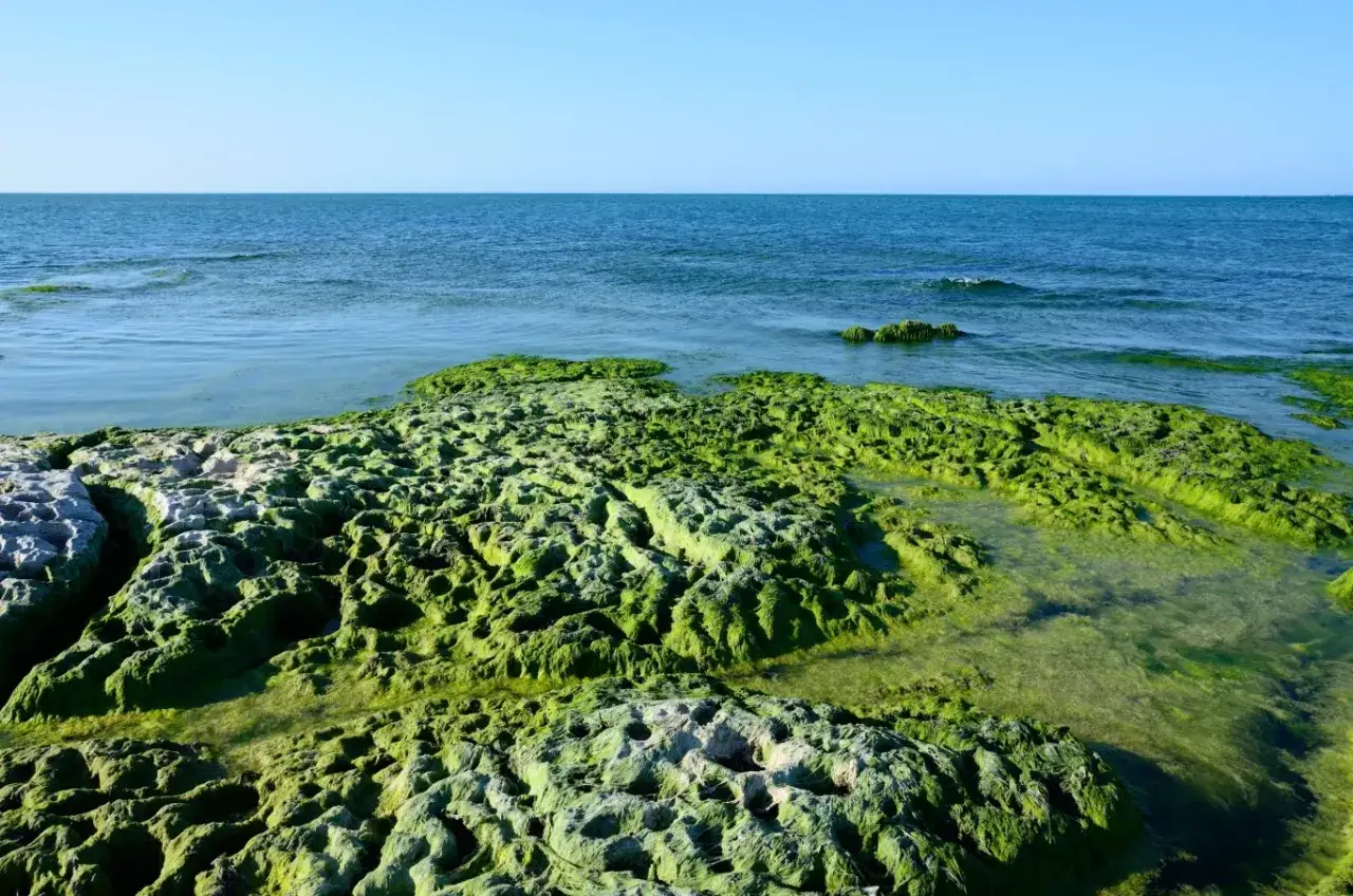 Gdzie leży Morze Kaspijskie? Przewodnik po największym jeziorze świata