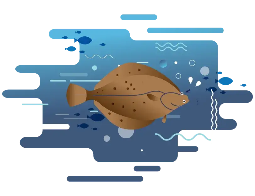 Jakie ryby żyją w Morzu Bałtyckim? Odkryj ich niezwykły świat