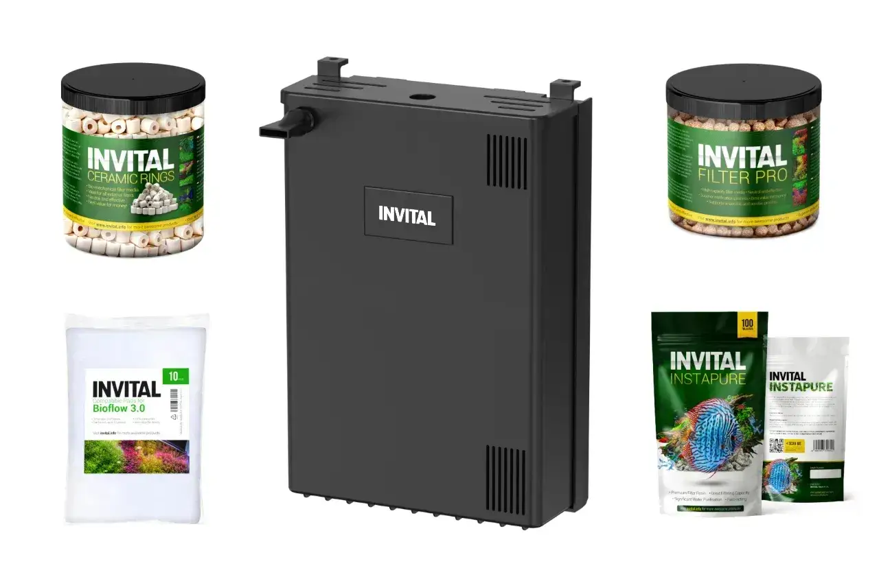 Zestaw do akwarium: filtr, ceramiczne pierścienie, Bioflow 3.0 i Instapure. Dowiedz się, jak prawidłowo zamontować filtr w akwarium.