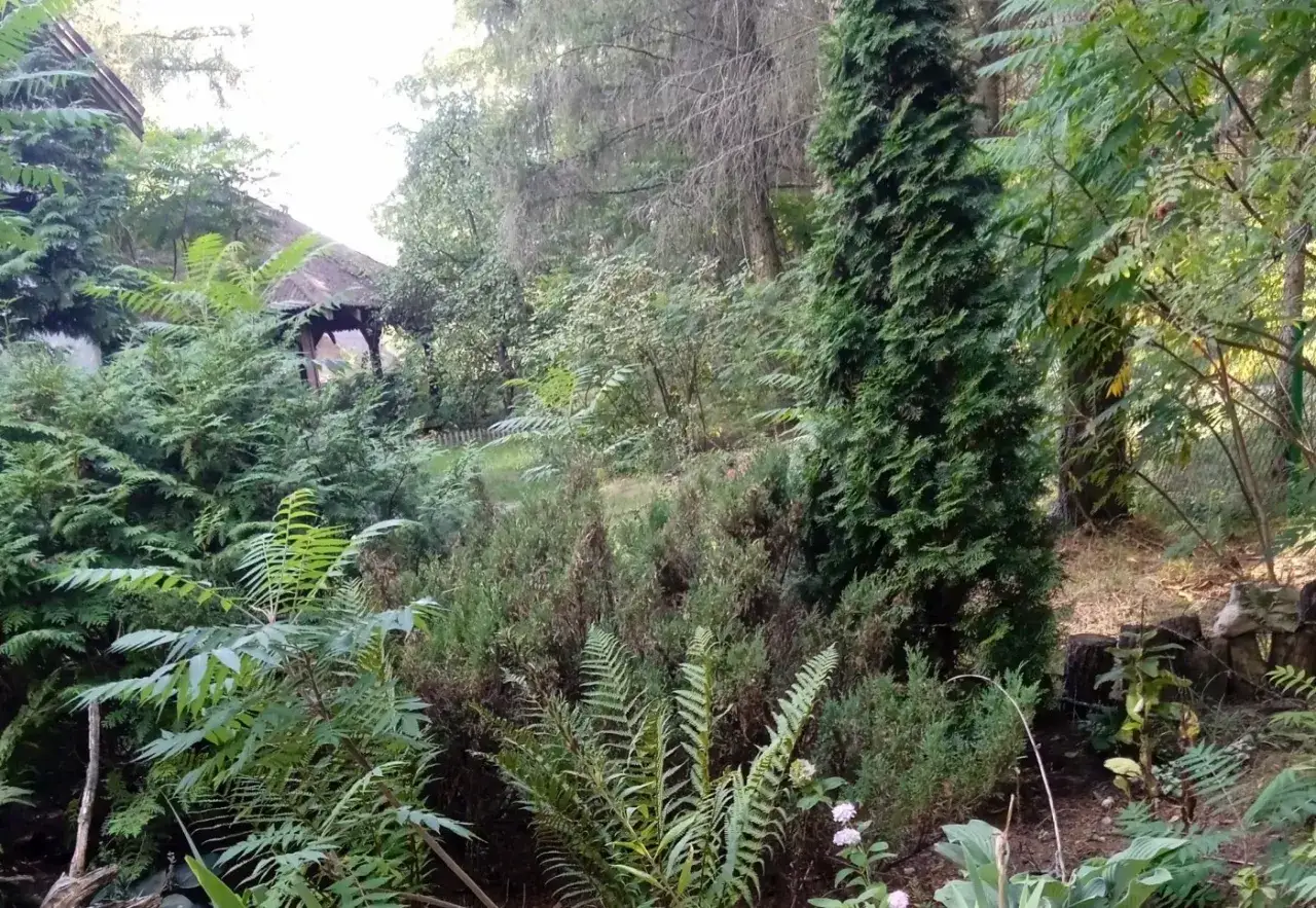 Zatoka Wilków - idealne miejsce na agroturystykę w Makosiejach