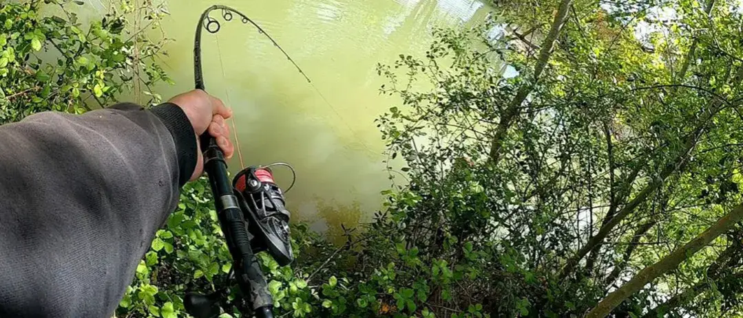 Jaka wędka uniwersalna? Odkryj najlepsze modele do różnych technik