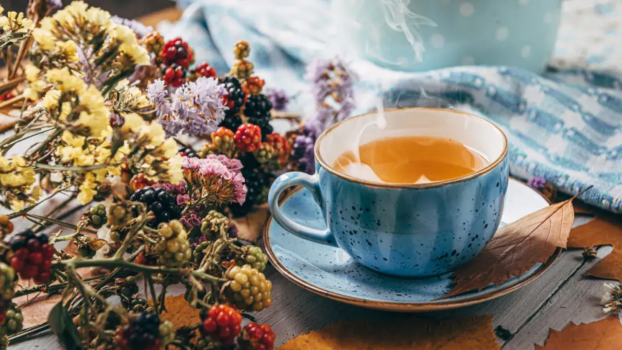 Welche Tees sind die besten für Gesundheit und Wohlbefinden?