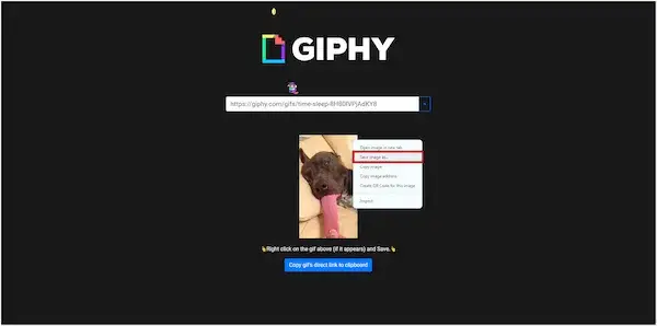 Prosty sposób jak pobrać gif z każdej strony w 3 krokach - szybki poradnik