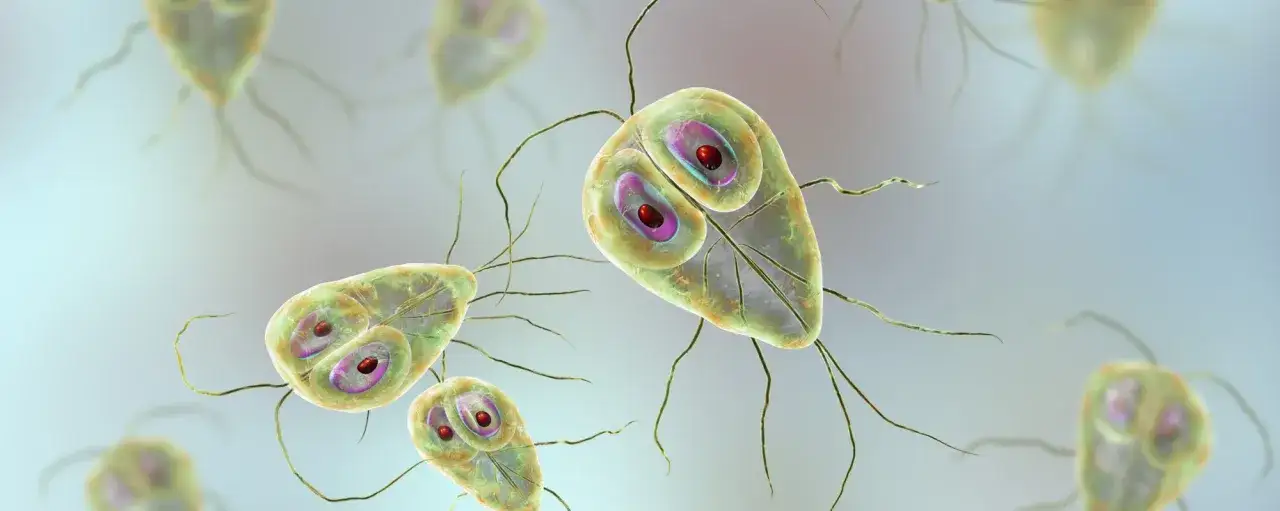 Lamblia objawy psychiczne: jak zakażenie wpływa na Twoje samopoczucie