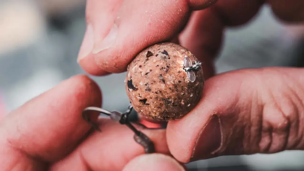 Dłonie przygotowują kulkę zanęty Marcel na zawody wędkarskie. Haczyk i przypon są już zamocowane.