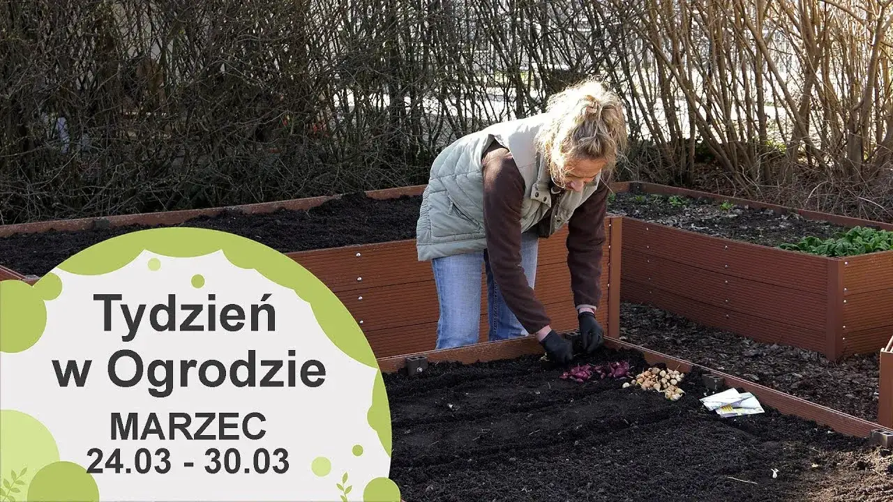 Marzec w ogrodzie: Kluczowe prace dla obfitych plonów i pięknych kwiatów