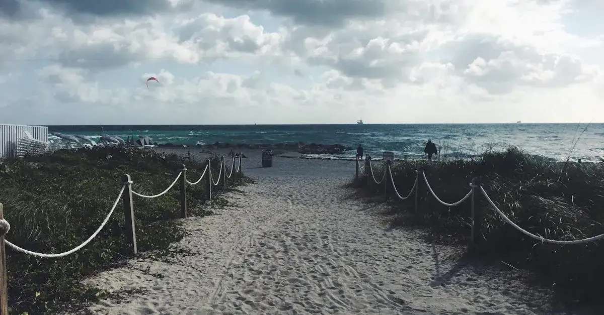 Czy prorok Eliasz naprawdę nie umarł? Biblia odsłania całą prawdę