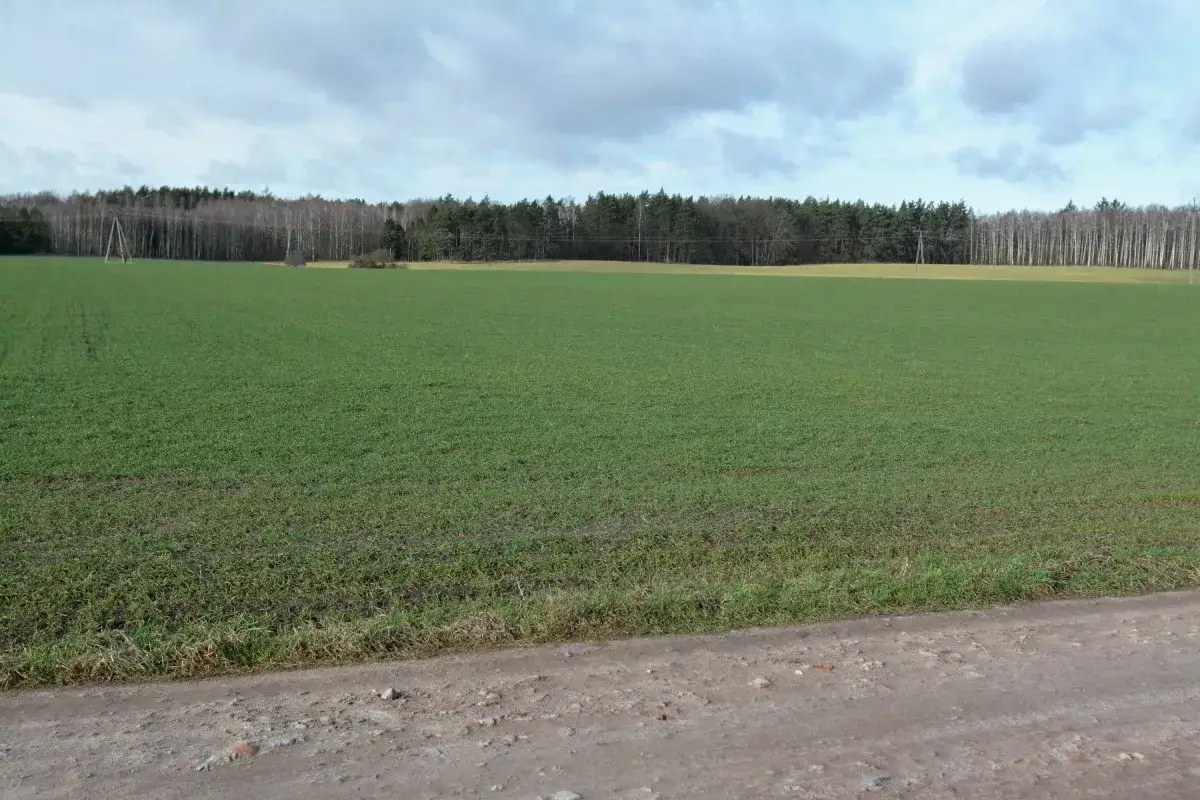 Co wybudować na działce rolnej? Poradnik dla każdego inwestora