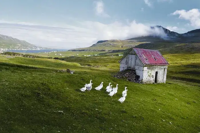 Wyspy Owcze – co to za kraj i jaka jest ich autonomia w Danii?