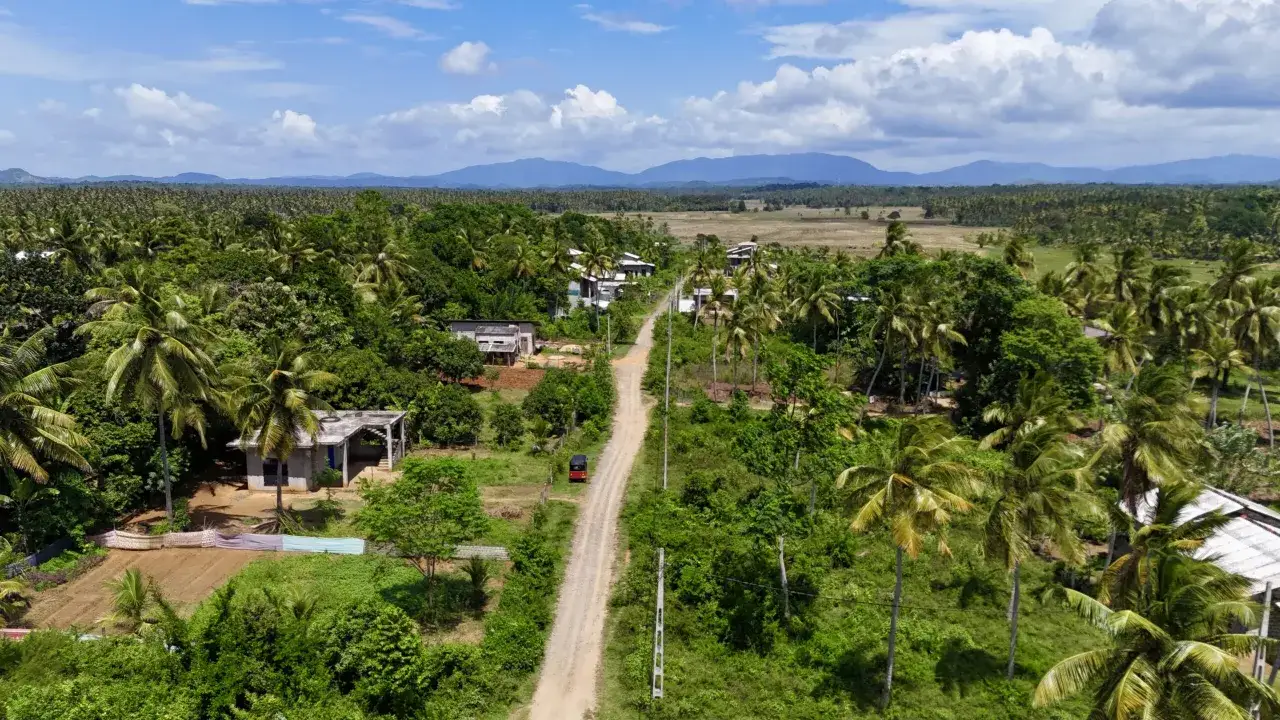 Droga przez palmy i pola ryżowe, z widocznymi domami i tuk-tukiem. Czy na Sri Lance jest bezpiecznie? Ten krajobraz sugeruje spokój.