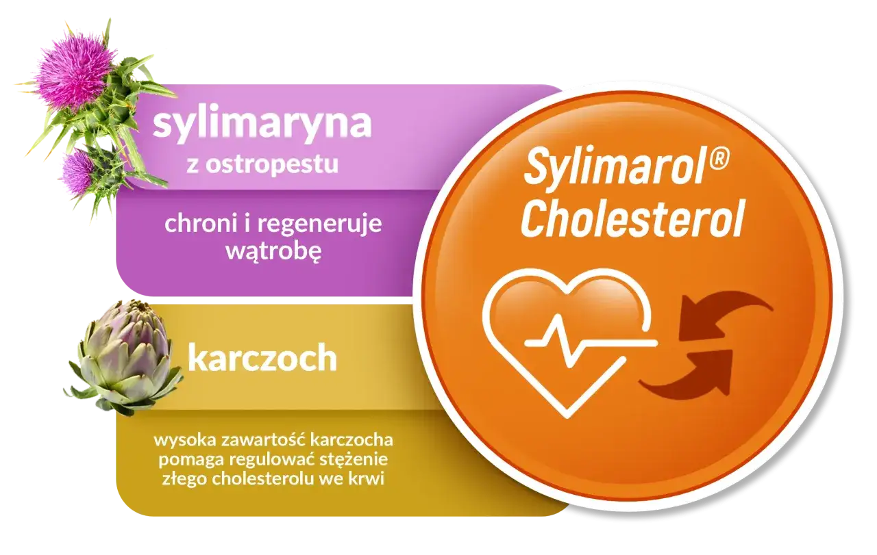 Sylimaryna a cholesterol: czy faktycznie obniża? Sprawdź!