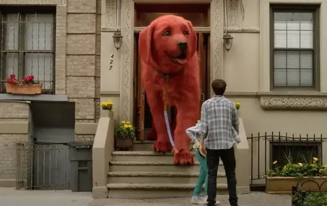 Film o czerwonym psie – recenzja, fabuła i gdzie obejrzeć online